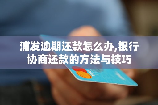 浦发逾期还款怎么办,银行协商还款的     与技巧