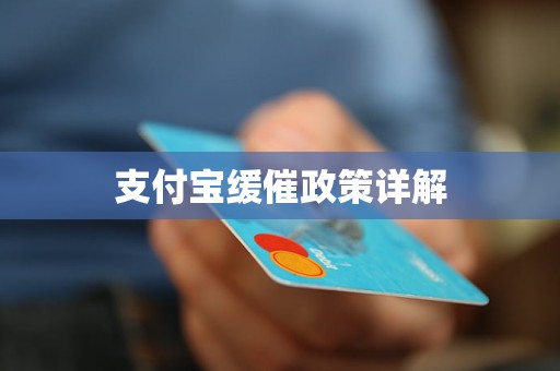 支付宝缓催政策详解