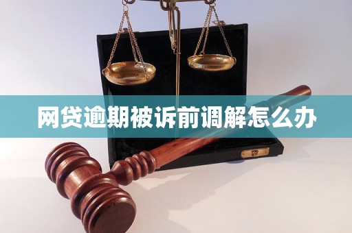 网贷逾期被诉前调解怎么办
