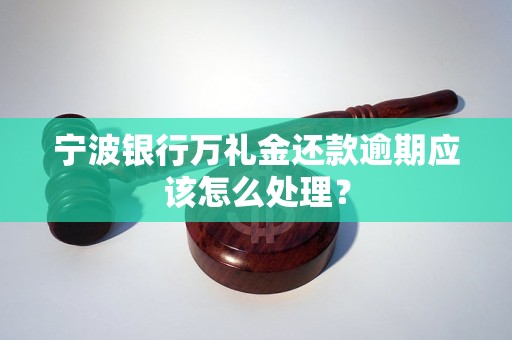 宁波银行万礼金还款逾期应该怎么处理？