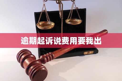 逾期起诉说费用要我出