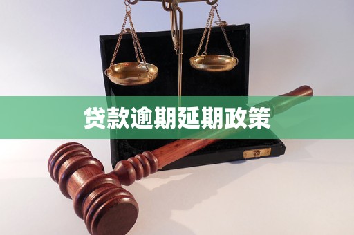 贷款逾期延期政策