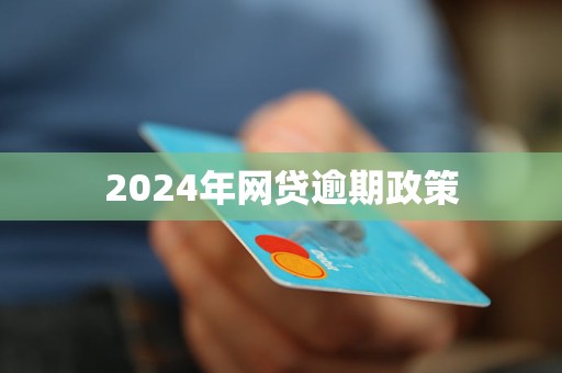 2024年网贷逾期政策