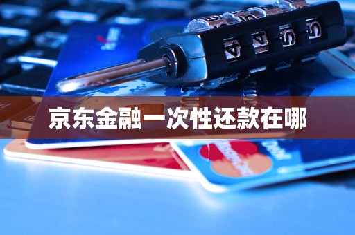 京东金融一次性还款在哪