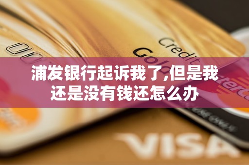 浦发银行起诉我了,但是我还是没有钱还怎么办