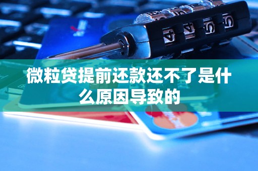 微粒贷提前还款还不了是什么原因导致的