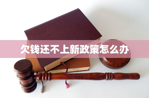 欠钱还不上新政策怎么办