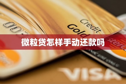 微粒贷怎样手动还款吗