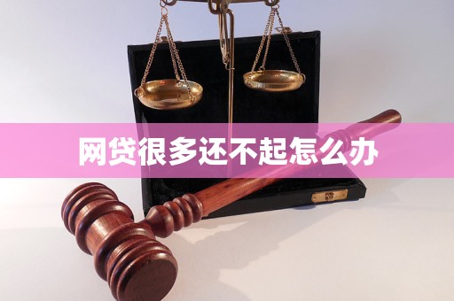 网贷很多还不起怎么办