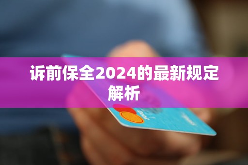 诉前保全2024的最新规定解析