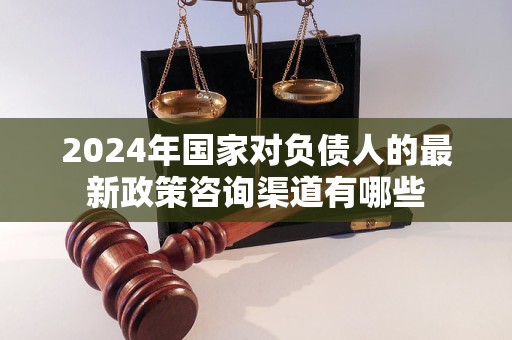 2024年国家对负债人的最新政策咨询渠道有哪些