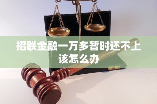 招联金融一万多暂时还不上该怎么办