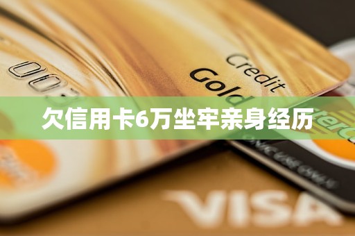 欠信用卡6万坐牢亲身经历