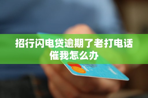 招行闪电贷逾期了老打电话催我怎么办