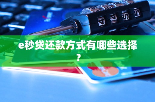 e秒贷还款方式有哪些选择？