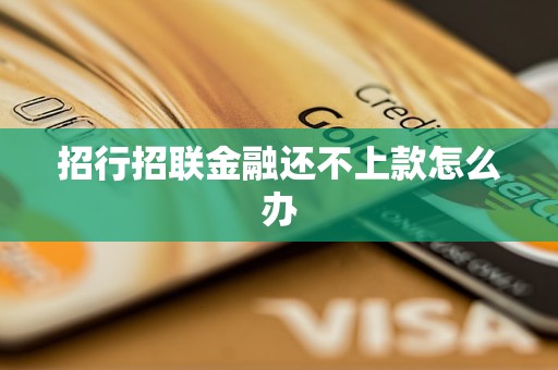 招行招联金融还不上款怎么办