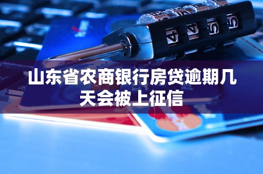 山东省农商银行房贷逾期几天会被上征信