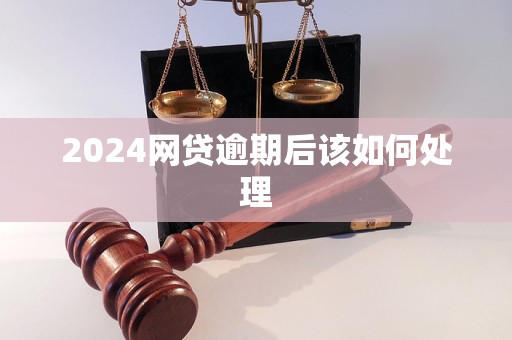 2024网贷逾期后该如何处理