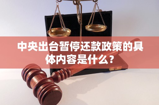 中央出台暂停还款政策的具体内容是什么？