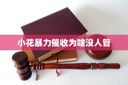 小花暴力催收为啥没人管