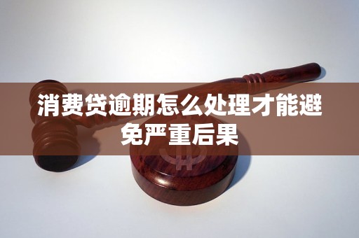 消费贷逾期怎么处理才能避免严重后果