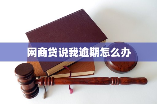 网商贷说我逾期怎么办