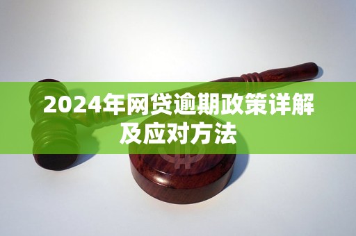 2024年网贷逾期政策详解及应对方法