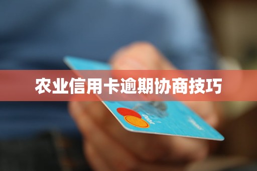 农业信用卡逾期协商技巧