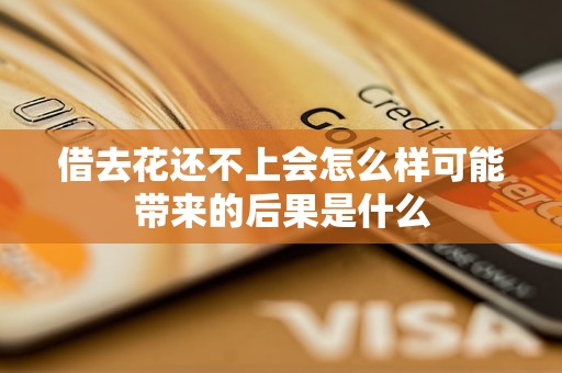 借去花还不上会怎么样可能带来的后果是什么