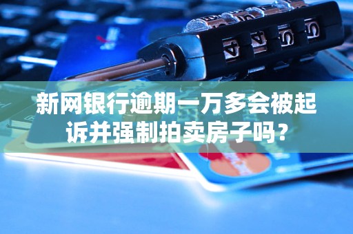 新网银行逾期一万多会被起诉并强制拍卖房子吗？