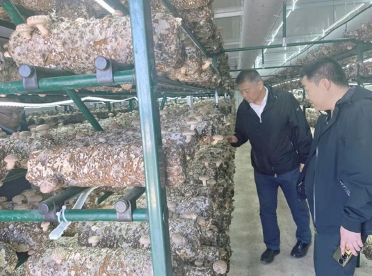 华泰期货赴江苏丰县开展乡村振兴帮扶工作