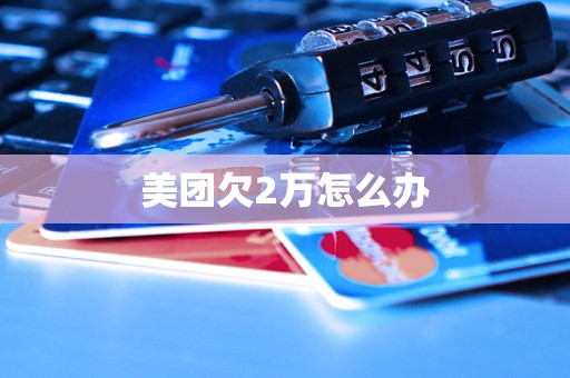 美团欠2万怎么办