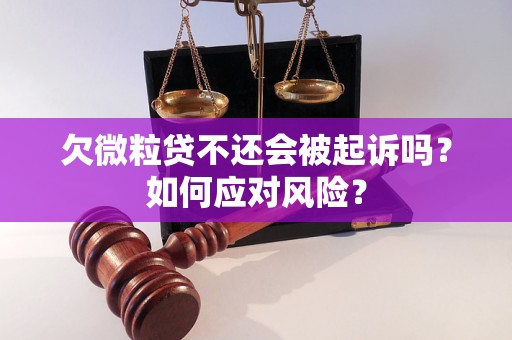 欠微粒贷不还会被起诉吗？如何应对风险？