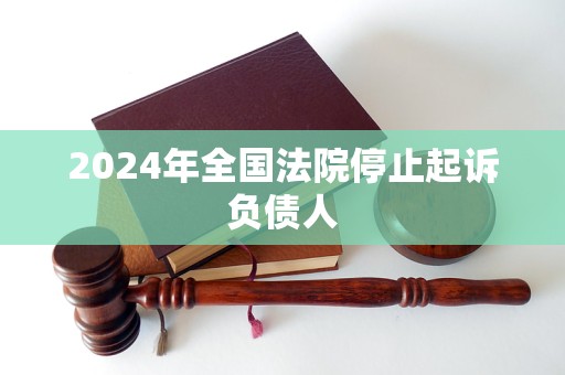 2024年全国法院停止起诉负债人