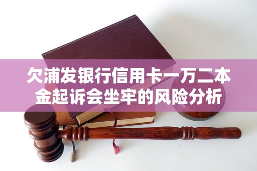 欠浦发银行信用卡一万二本金起诉会坐牢的风险分析