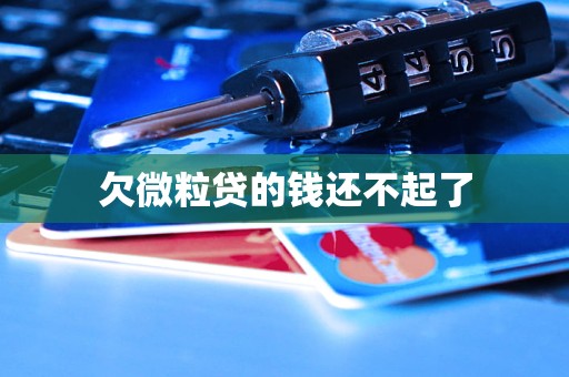 欠微粒贷的钱还不起了