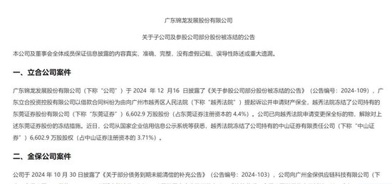 影响上市公司持续经营能力、被实施退市风险警示的情形