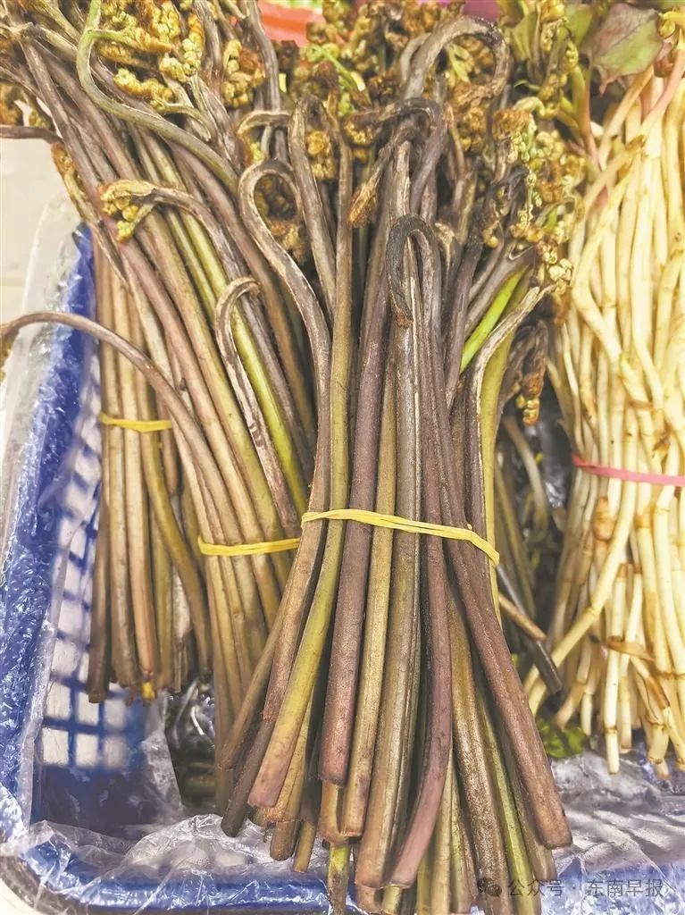 食用方式：焯水后包饺子、凉拌、煮荠菜豆腐汤