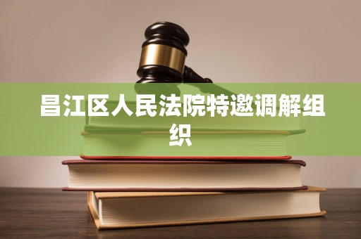 昌江区人民法院特邀调解组织