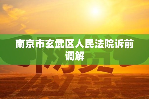 南京市玄武区人民法院诉前调解