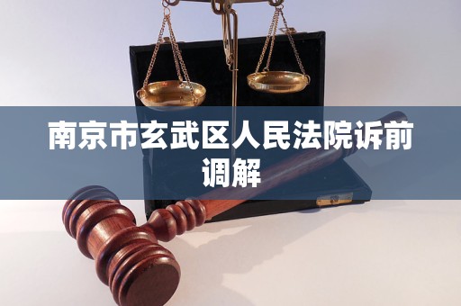 南京市玄武区人民法院诉前调解