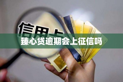 臻心贷逾期会上征信吗