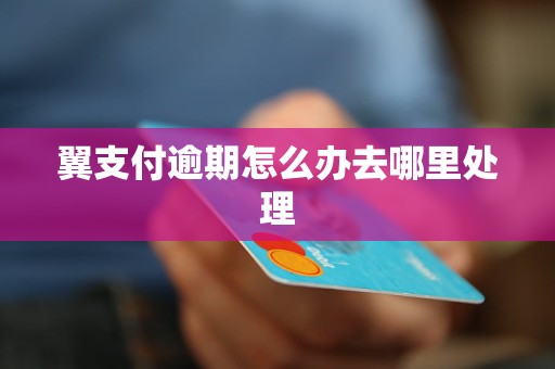 翼支付逾期怎么办去哪里处理