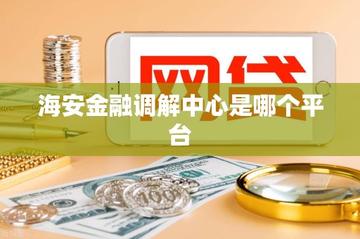 海安金融调解中心是哪个平台