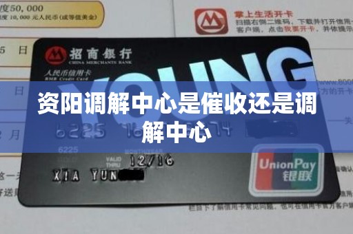 资阳调解中心是催收还是调解中心