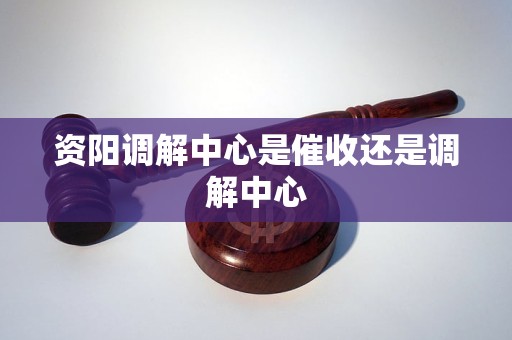 资阳调解中心是催收还是调解中心