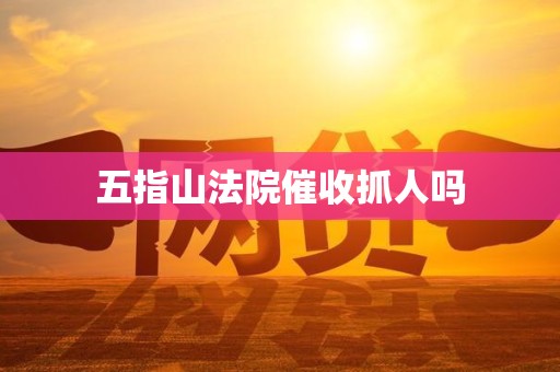 五指山法院催收抓人吗