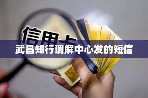 武昌知行调解中心发的短信