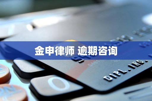 金申律师 逾期咨询