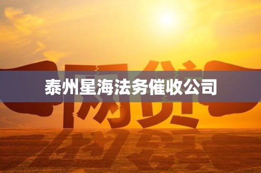 泰州星海法务催收公司